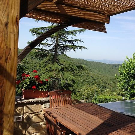 Agriturismo Borgo Nuovo Di Mulinelli 아레초 외부 사진