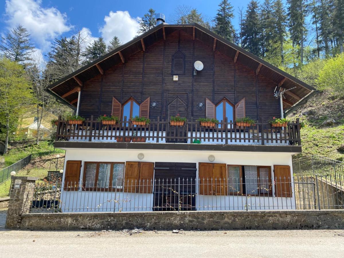 Agriturismo Borgo Nuovo Di Mulinelli 아레초 외부 사진