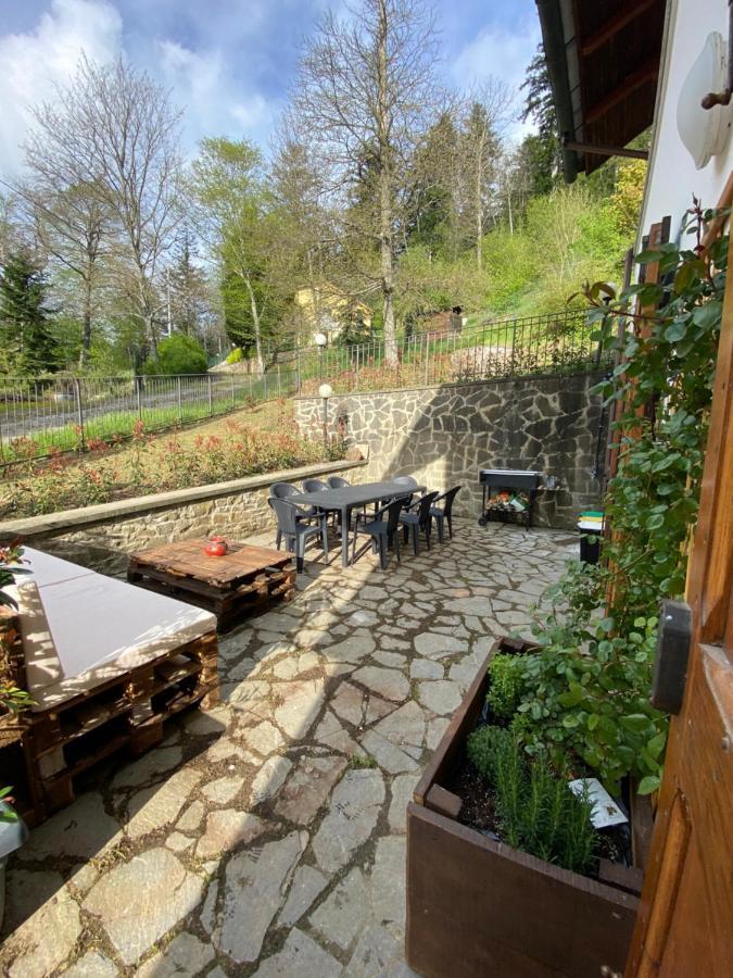 Agriturismo Borgo Nuovo Di Mulinelli 아레초 외부 사진
