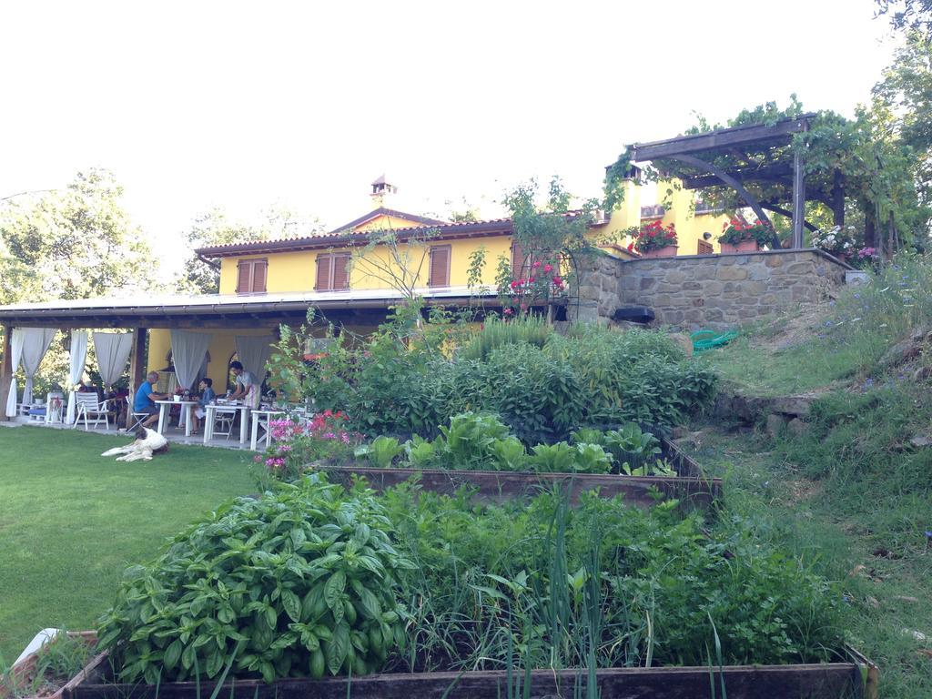 Agriturismo Borgo Nuovo Di Mulinelli 아레초 외부 사진