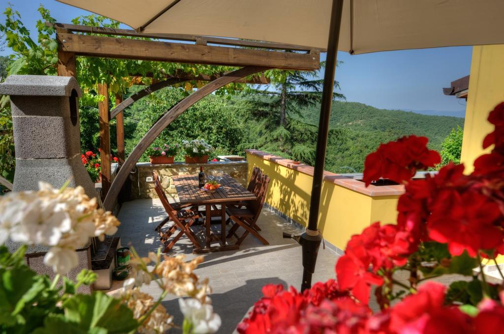 Agriturismo Borgo Nuovo Di Mulinelli 아레초 외부 사진